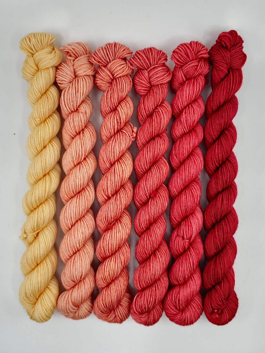 Indian Blanket Flower - Minis Gradient Set - CHAOS Fiber Co