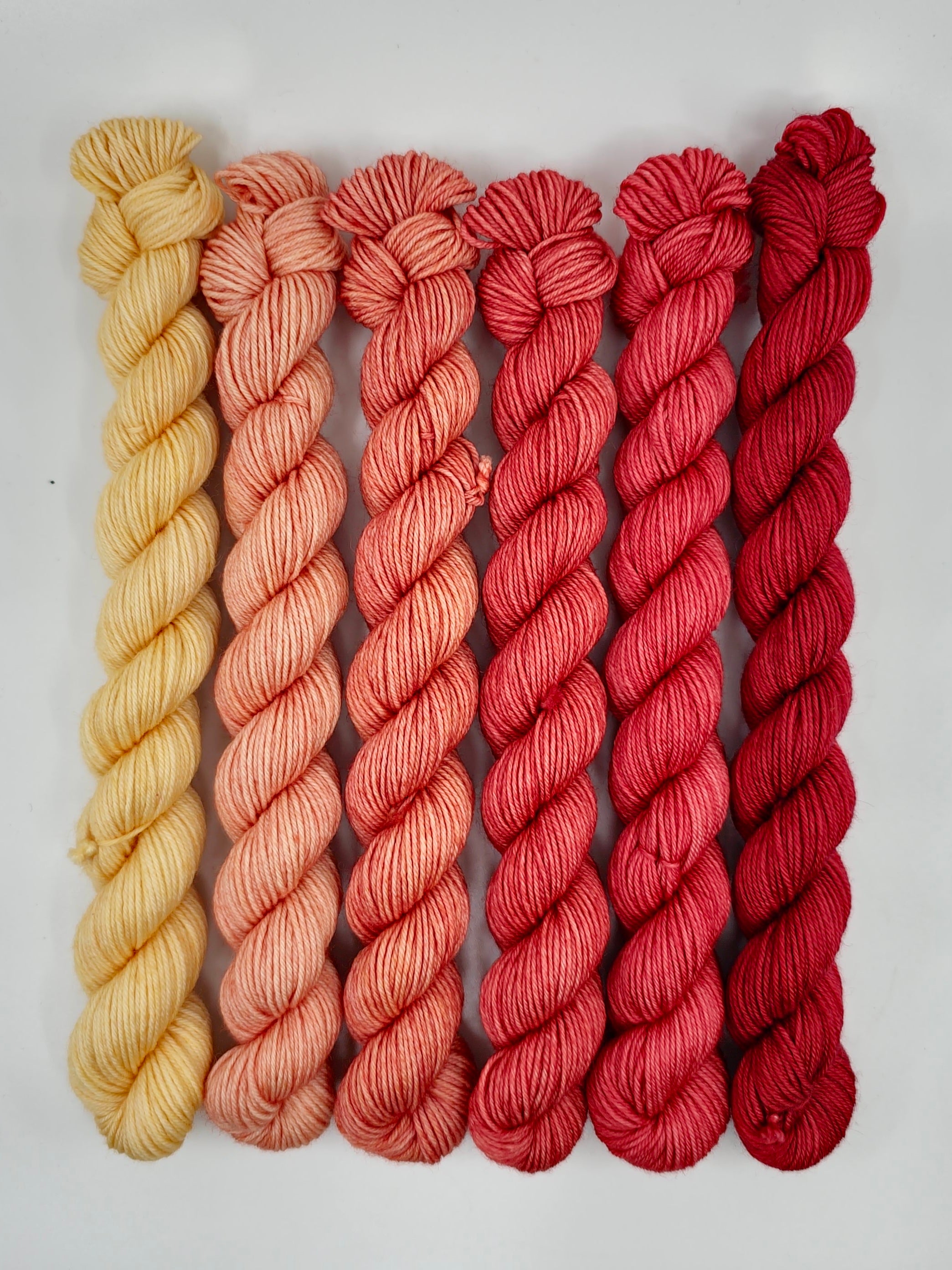 Indian Blanket Flower - Minis Gradient Set - CHAOS Fiber Co