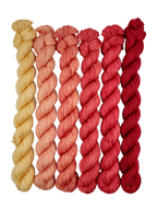 Indian Blanket Flower - Minis Gradient Set - CHAOS Fiber Co