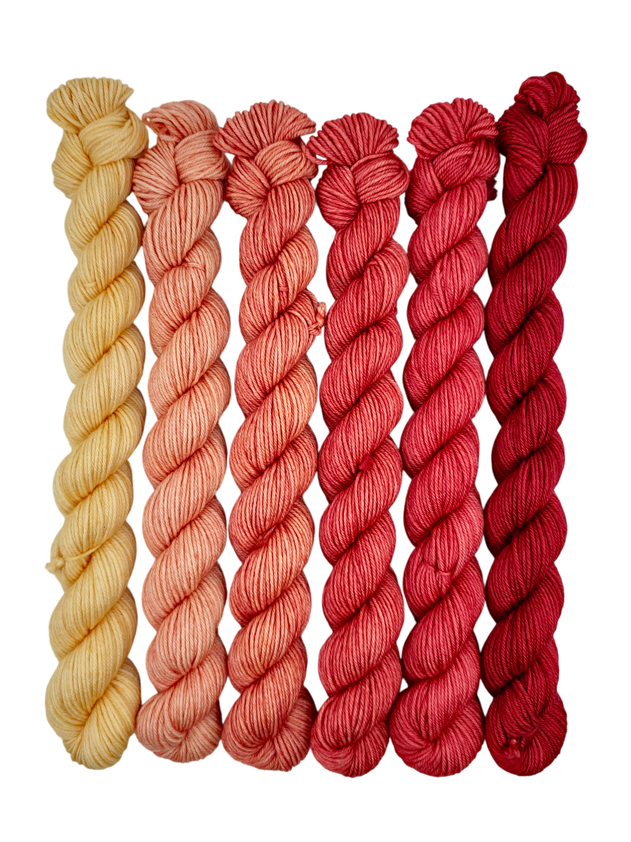 Indian Blanket Flower - Minis Gradient Set - CHAOS Fiber Co