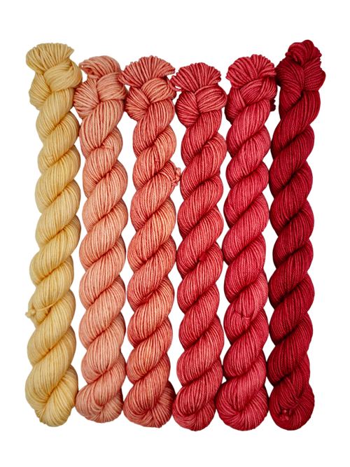 Indian Blanket Flower - Minis Gradient Set - CHAOS Fiber Co