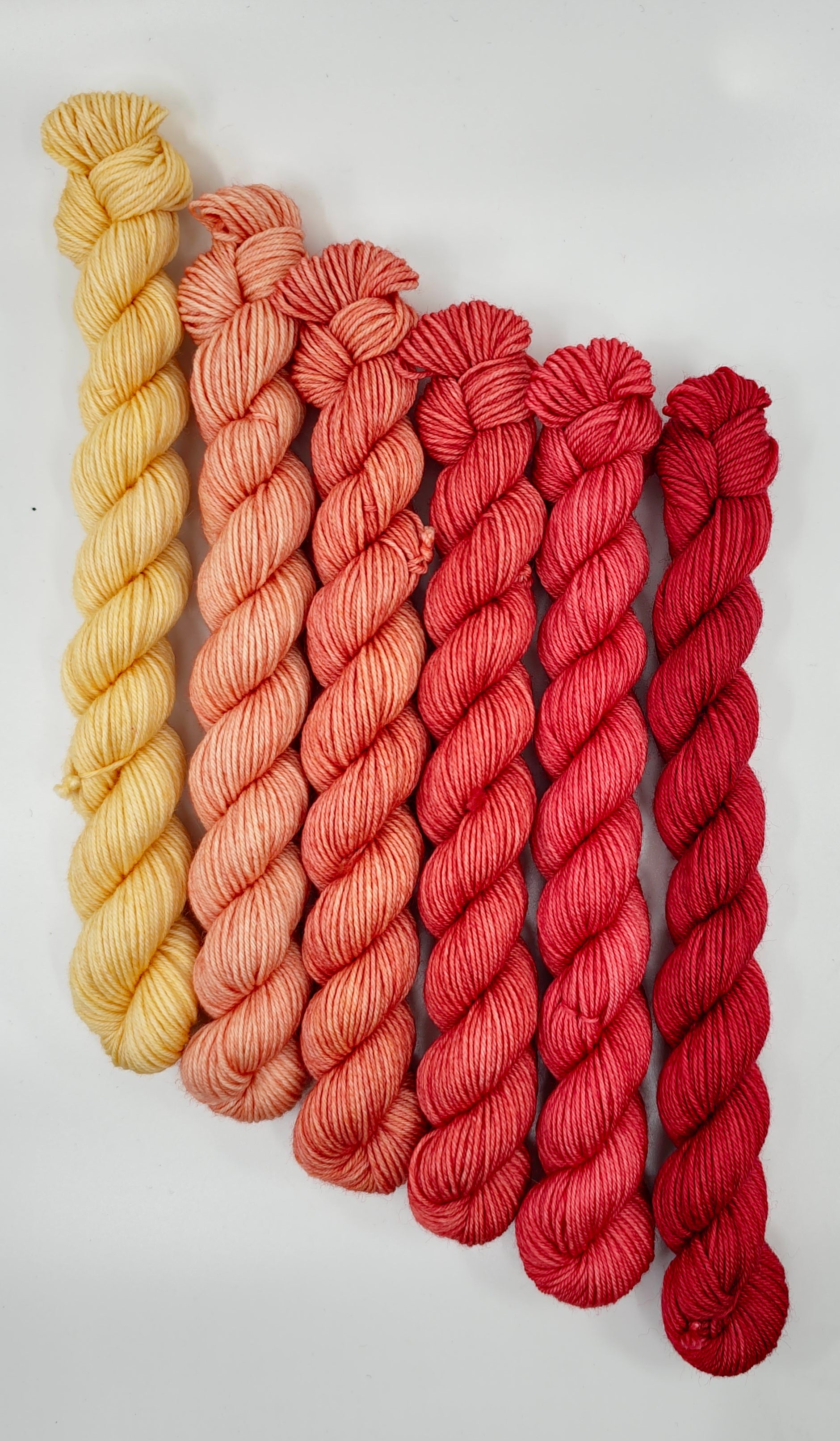 Indian Blanket Flower - Minis Gradient Set - CHAOS Fiber Co