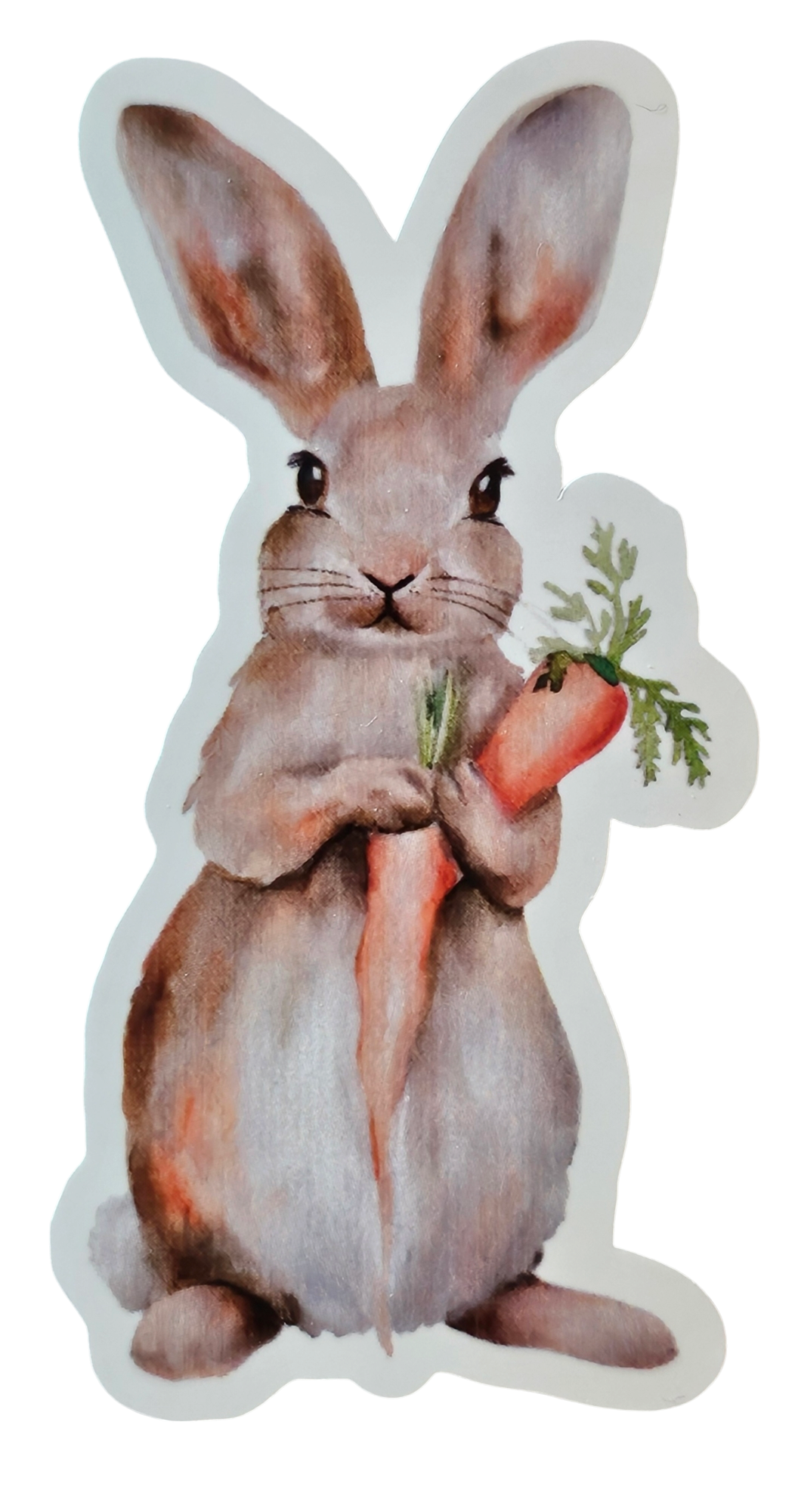 Rabbit with Carrot - Chaos Sticker