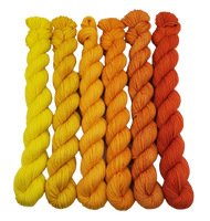 Tequila Sunrise - Minis Gradient Set