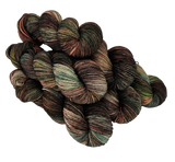Memories - Variegated DK 100