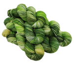 Shamrock - Variegated Merlin 100