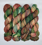 Memories - Variegated DK 100 - CHAOS Fiber Co