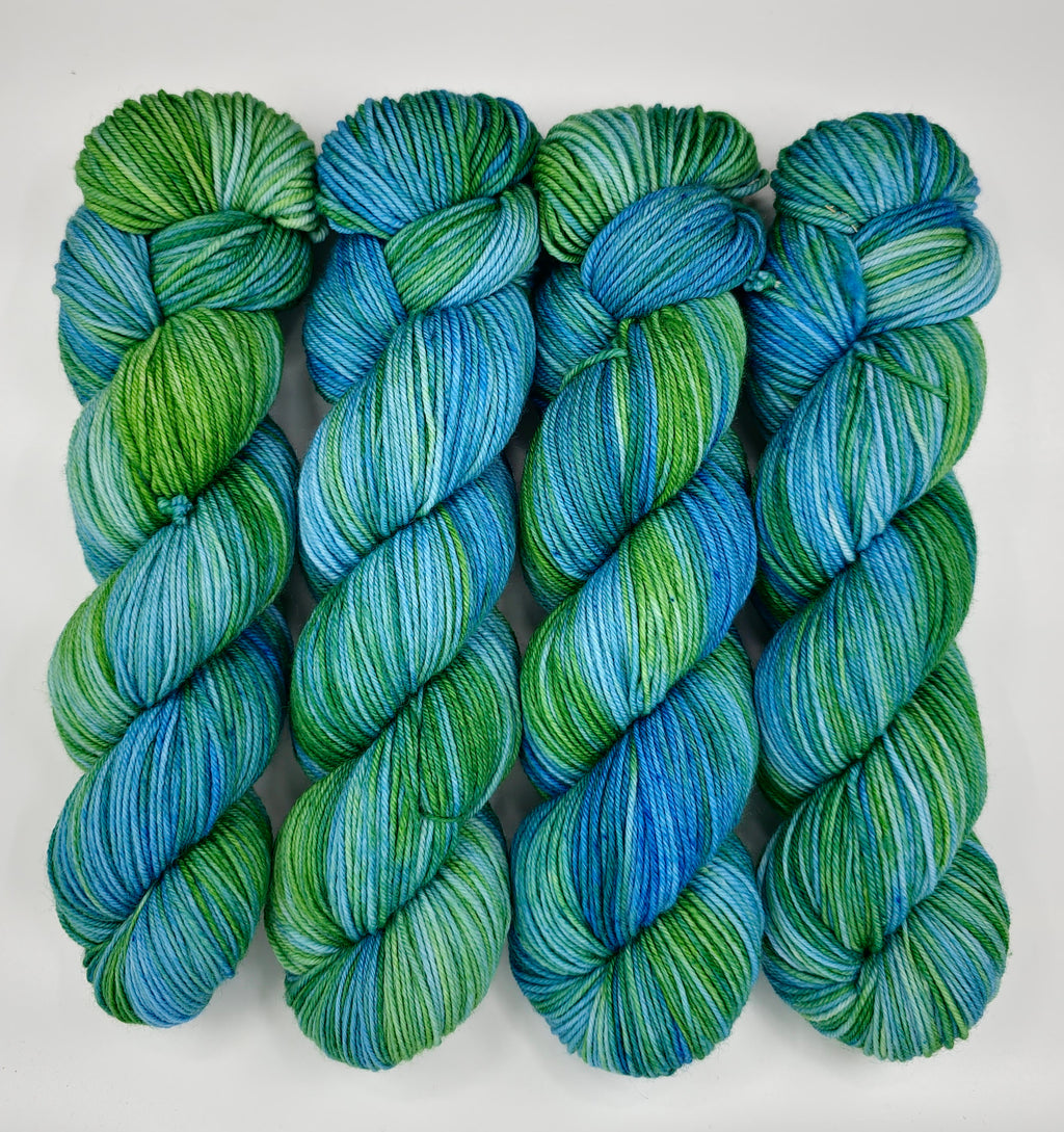 Riding the Waves - Variegated DK 100 - CHAOS Fiber Co