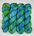 Riding the Waves - Variegated DK 100 - CHAOS Fiber Co