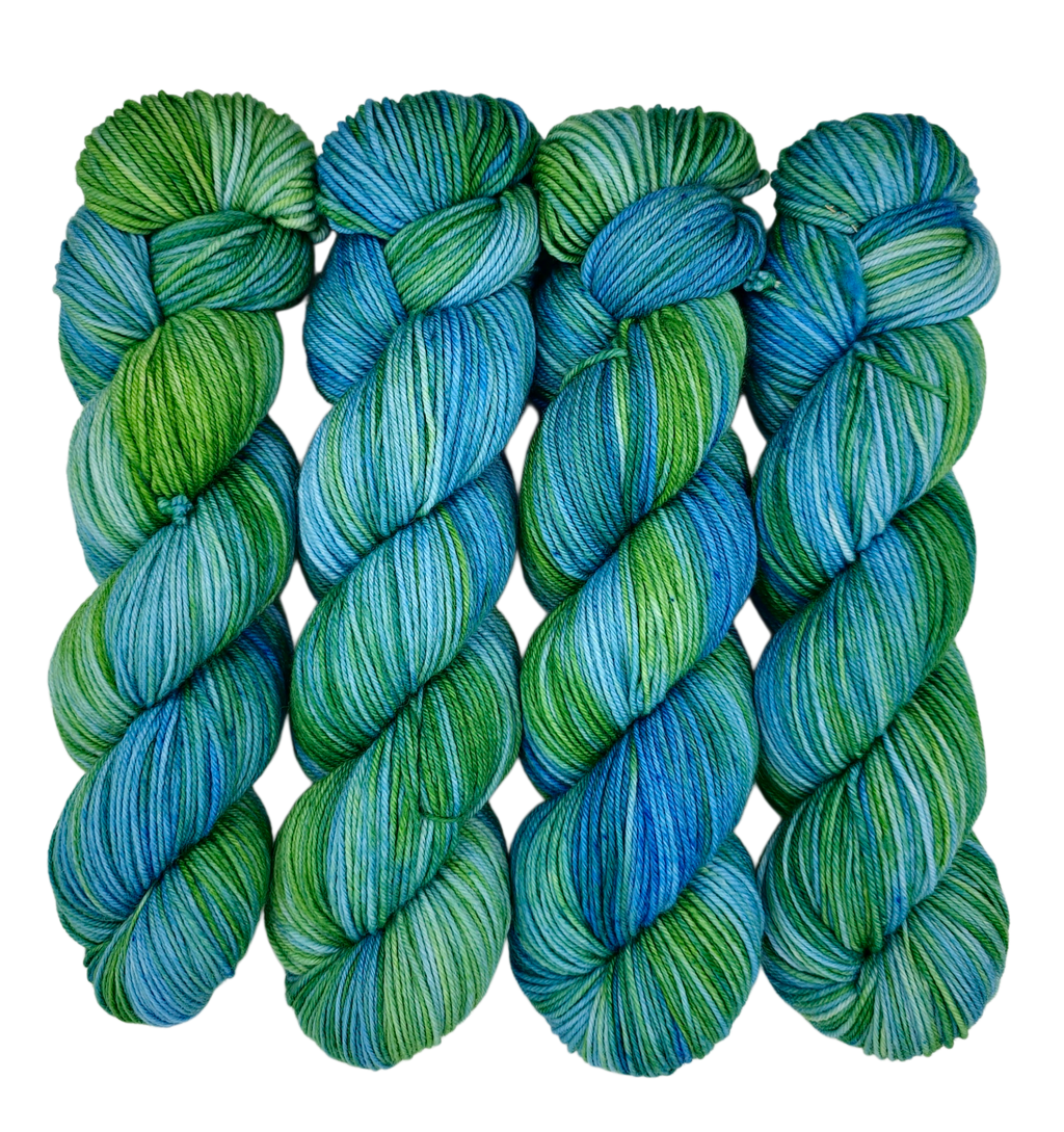 Riding the Waves - Variegated DK 100 - CHAOS Fiber Co