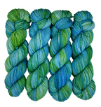 Riding the Waves - Variegated DK 100 - CHAOS Fiber Co