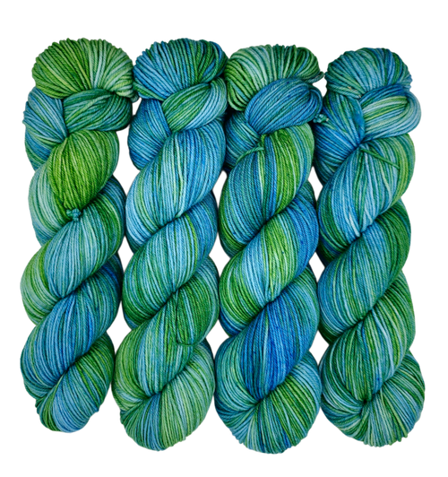 Riding the Waves - Variegated DK 100 - CHAOS Fiber Co