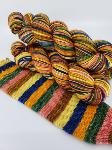 6 Enchanted Garden - Self-Striping - MS Sock 100