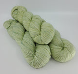Lichen - Tonal Elite 100