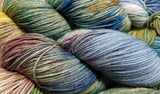 Lakeside - Variegated Merlin 100 - Crafting My Chaos
